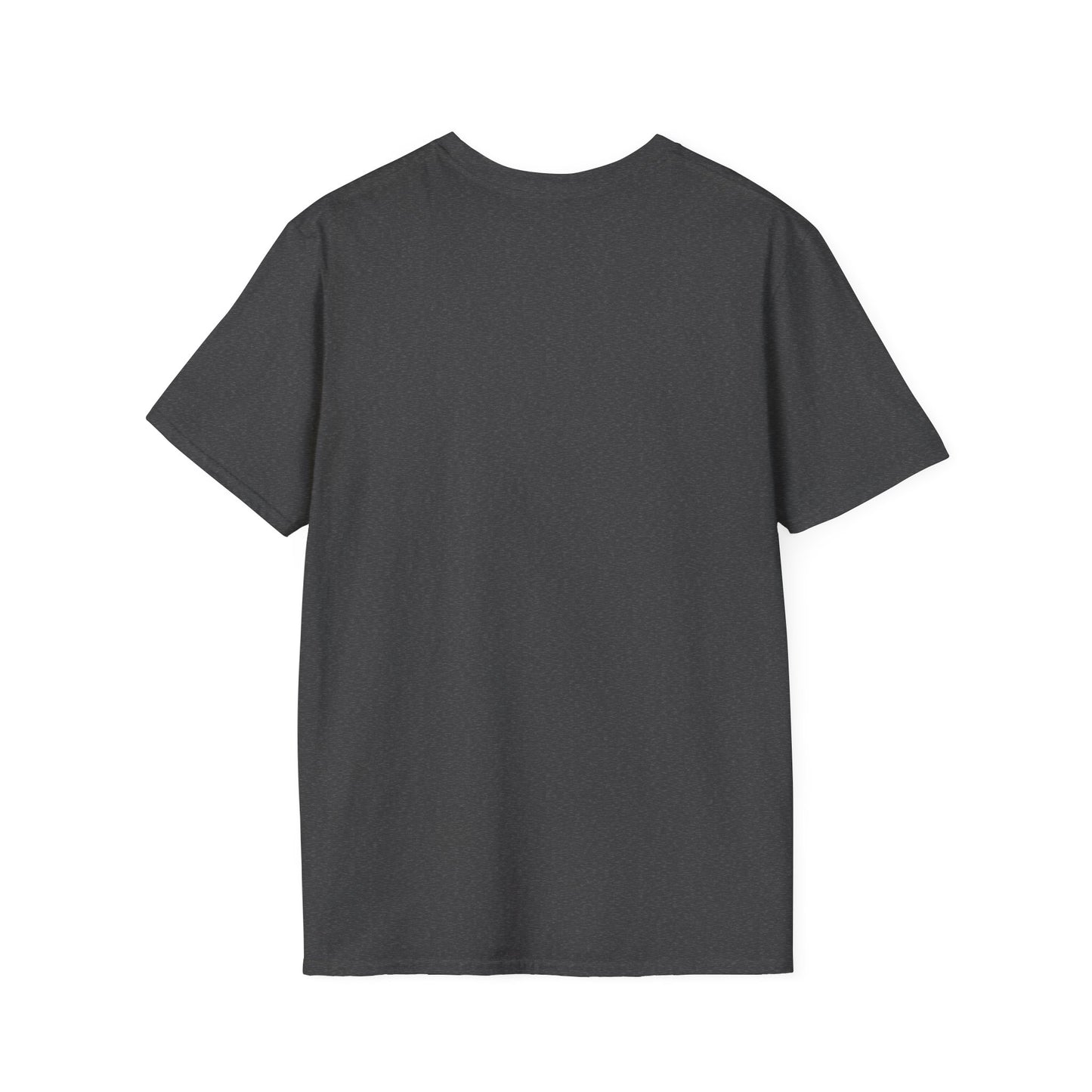 Cuatristas Lover Unisex T-Shirt, Music Enthusiast Gift